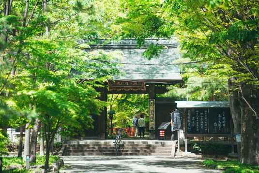 浄真寺撮影風景