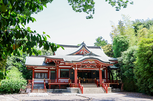 武蔵野八幡宮撮影風景